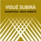 Vigué-Subirà