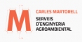 Carles Martorell Gendra